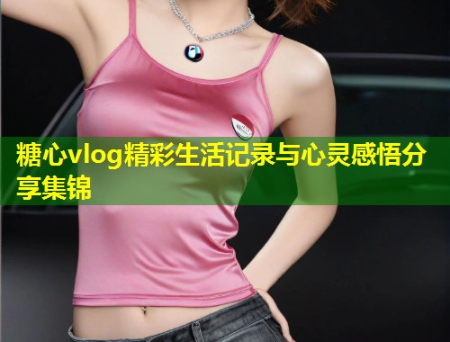 糖心vlog精彩生活记录与心灵感悟分享集锦  第1张