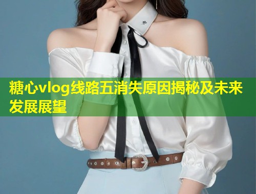 糖心vlog线路五消失原因揭秘及未来发展展望  第2张